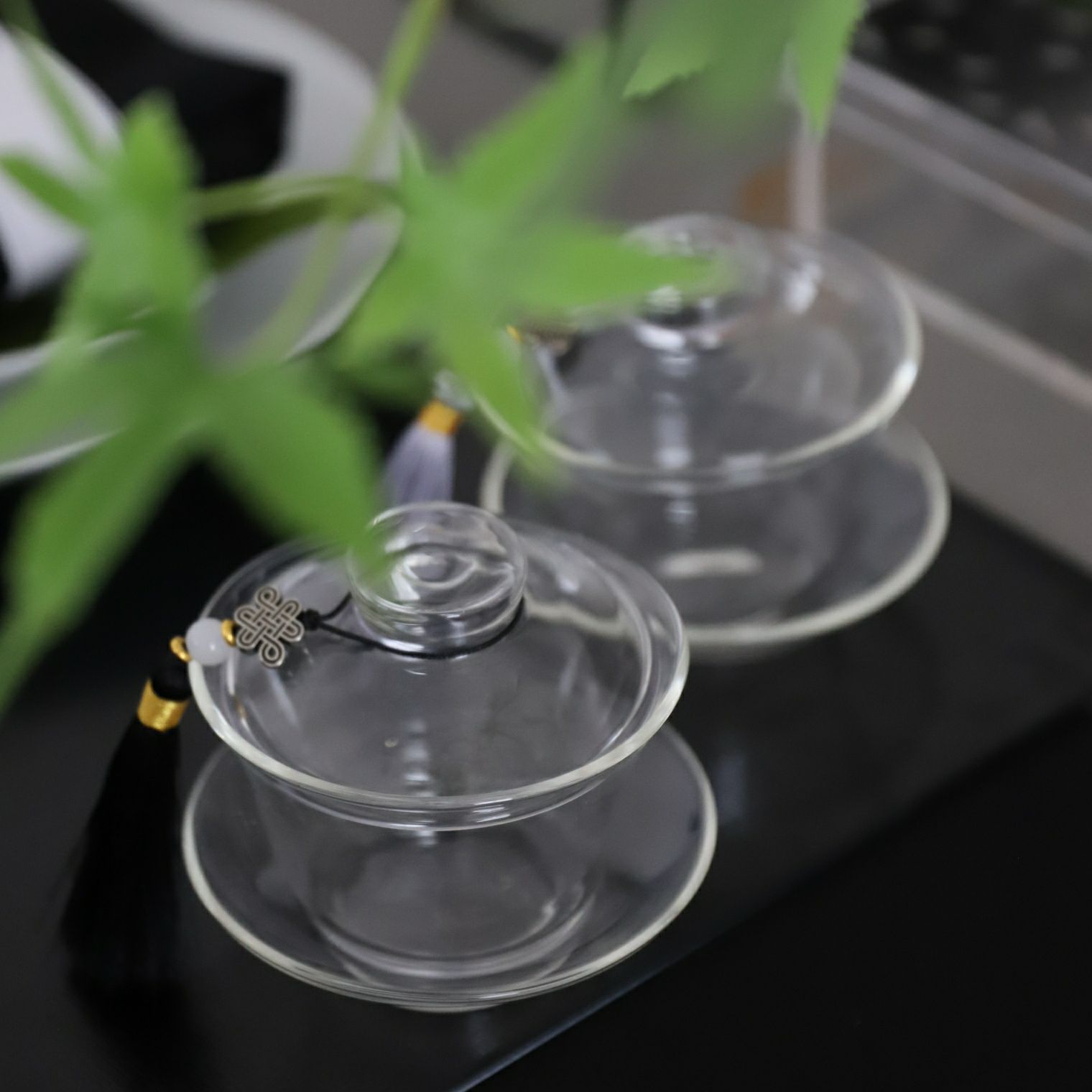 耐熱ガラス製ソーサー付き蓋碗茶器シンプル｜M苦楽園｜おしゃれな食器 