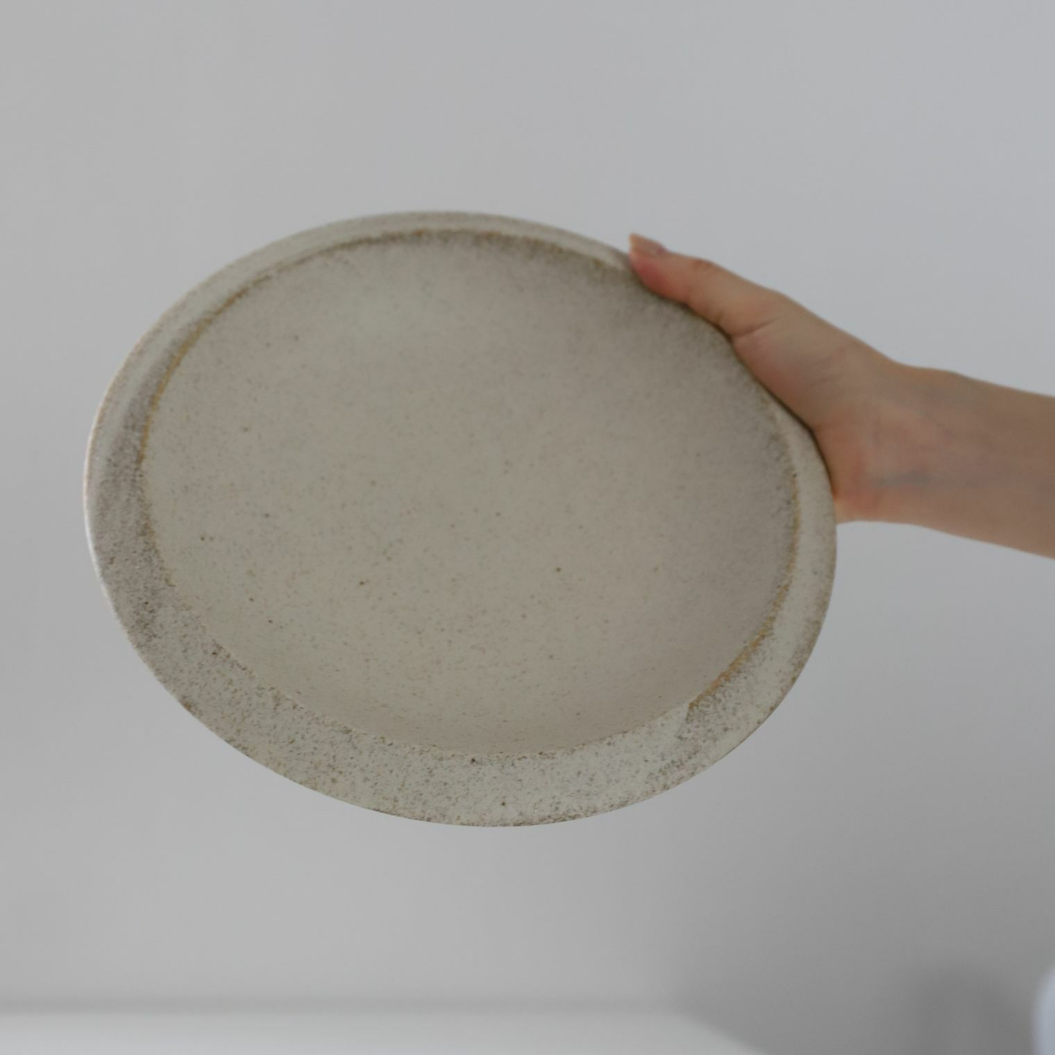 美濃焼　カレー・パスタ皿　磁器　サンディ　24cm