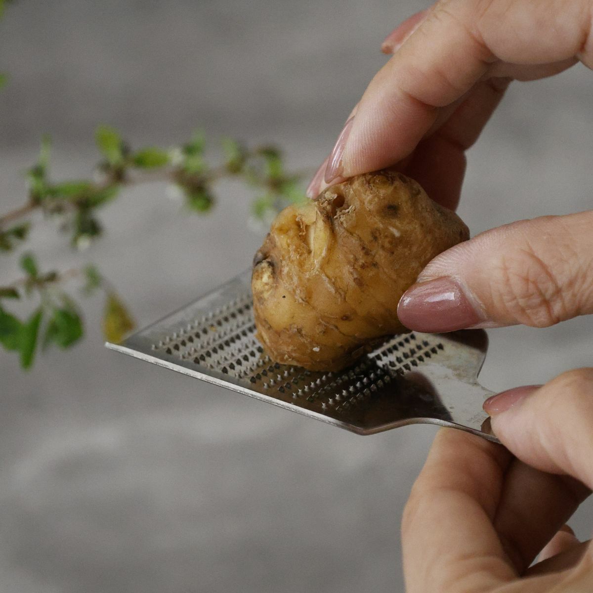 ステンレス製ミニおろし金