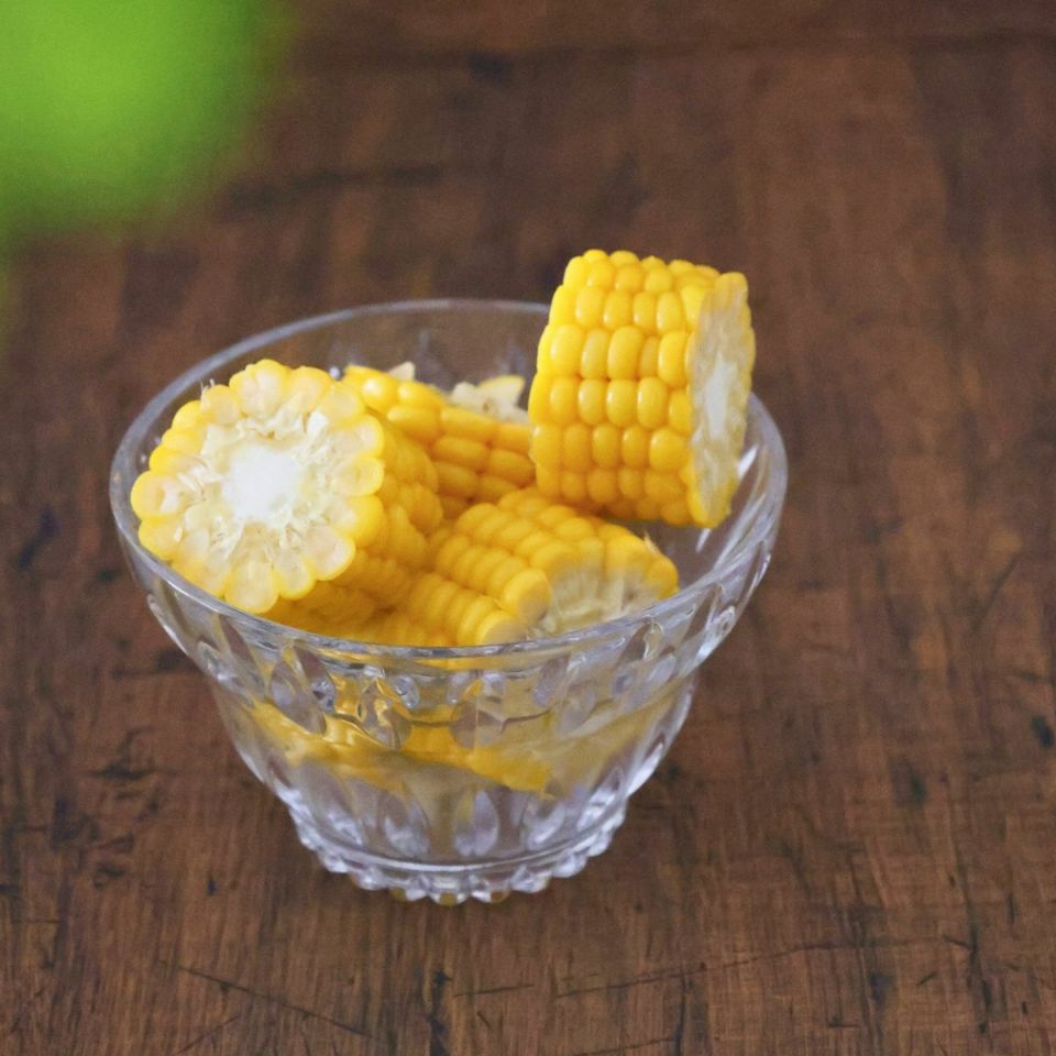 ガラス製　ガラス製デザインデザートボウル　