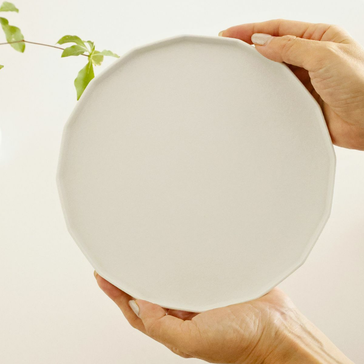 有田焼　白い十六角形　切立皿　磁器　スノー